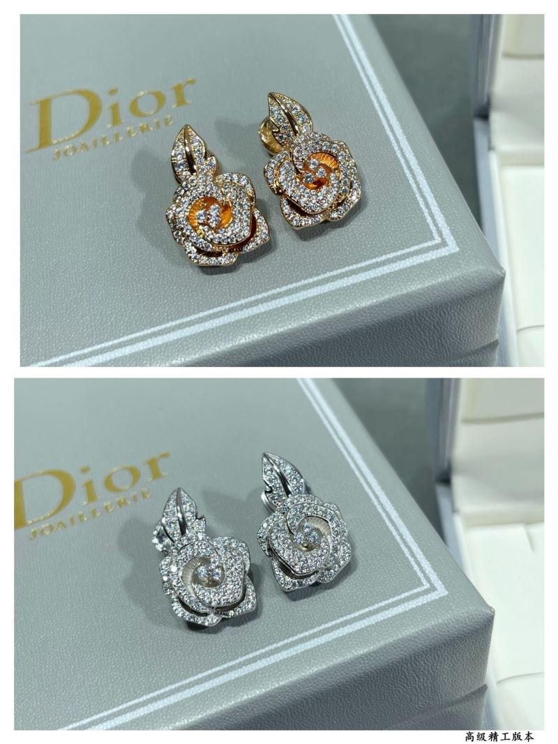 Christian Dior Earrings